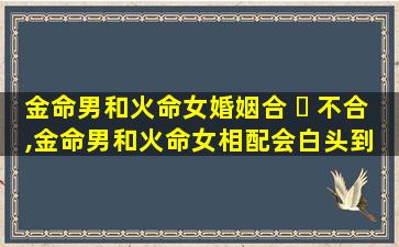 金命男和火命女婚姻合 ☘ 不合,金命男和火命女相配会白头到 🌴 老